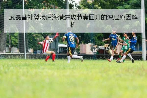 武磊替补登场后海港进攻节奏回升的深层原因解析 - milanosports