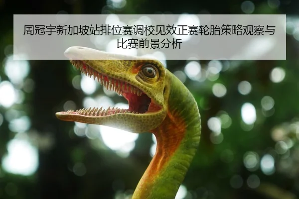 周冠宇新加坡站排位赛调校见效正赛轮胎策略观察与比赛前景分析(milanosports)